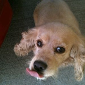 Meet your Posher, Sharron